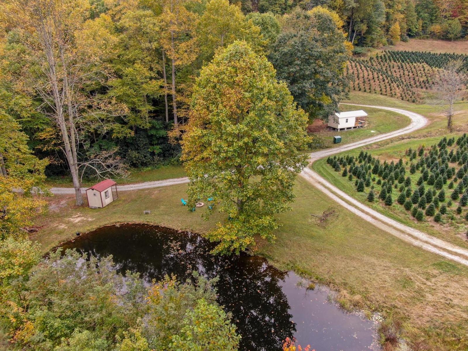 Songbird Cabin Villa Vilas Exterior photo